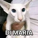 dimaria