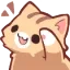 gatoahoi gatoahoi