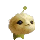mefr
