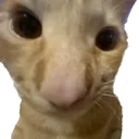 semyonstare