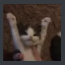 z_catyay z_catyay