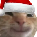 3_christmascat