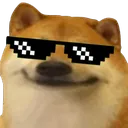bnf_glasses_dogebruh Discord Emoji