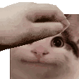 pat Discord emoji