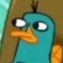 perrysideye