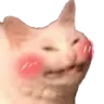 Kitty Blush kitty_blush Discord Emoji