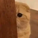 Cathide cathide Discord Emoji