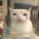 mujertanbellayyoenunabotella
