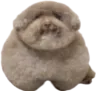 Scoobert
