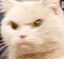 :angry: