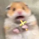 hamsterCross