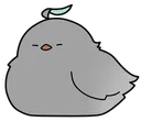 HaiBirb