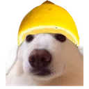 nimbudoge nimbudoge