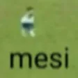 Mesi Mesi