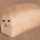 Catloaf Catloaf