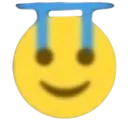 reversedcry Discord Emoji