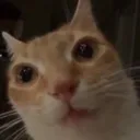 idwtf