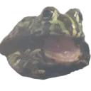 Frog Discord Emoji