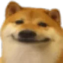 doge