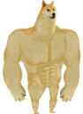 emoji_ShibaInuDogeMemePNGImage Discord Emoji