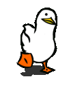 duckduck