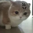 buc