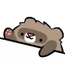 bongoferret