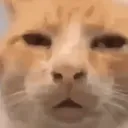 Wh