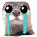 ottercry_3