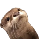 otterwhat