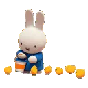 miffyfeed