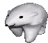 walkingboi
