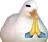 :3_DuckPray: 3_DuckPray