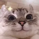 CatSmile