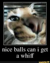 niceballsbro2