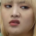 minniedisgust