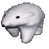 582689939573964820