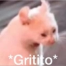 RT_grito Discord emoji