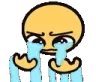 whycry whycry