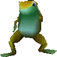 frogYUHHH frogYUHHH