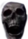 skeleBruh skeleBruh