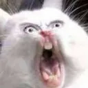 wuuutt