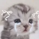 cat_babytears Discord emoji