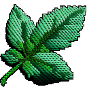 :xexmint: