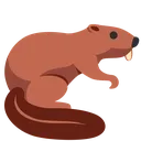 groundhog groundhog
