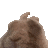 bunnydance Discord emoji
