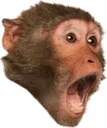 Monkeypog Discord Emoji