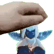 PetRaya