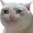 emoji_15