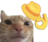 RT_quesoelegante Discord emoji